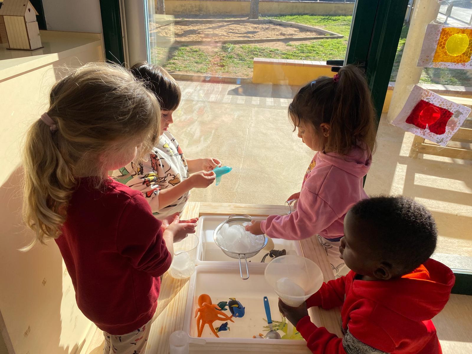 WhatsApp Image 2025-02-24 at 13.58.18 (3)