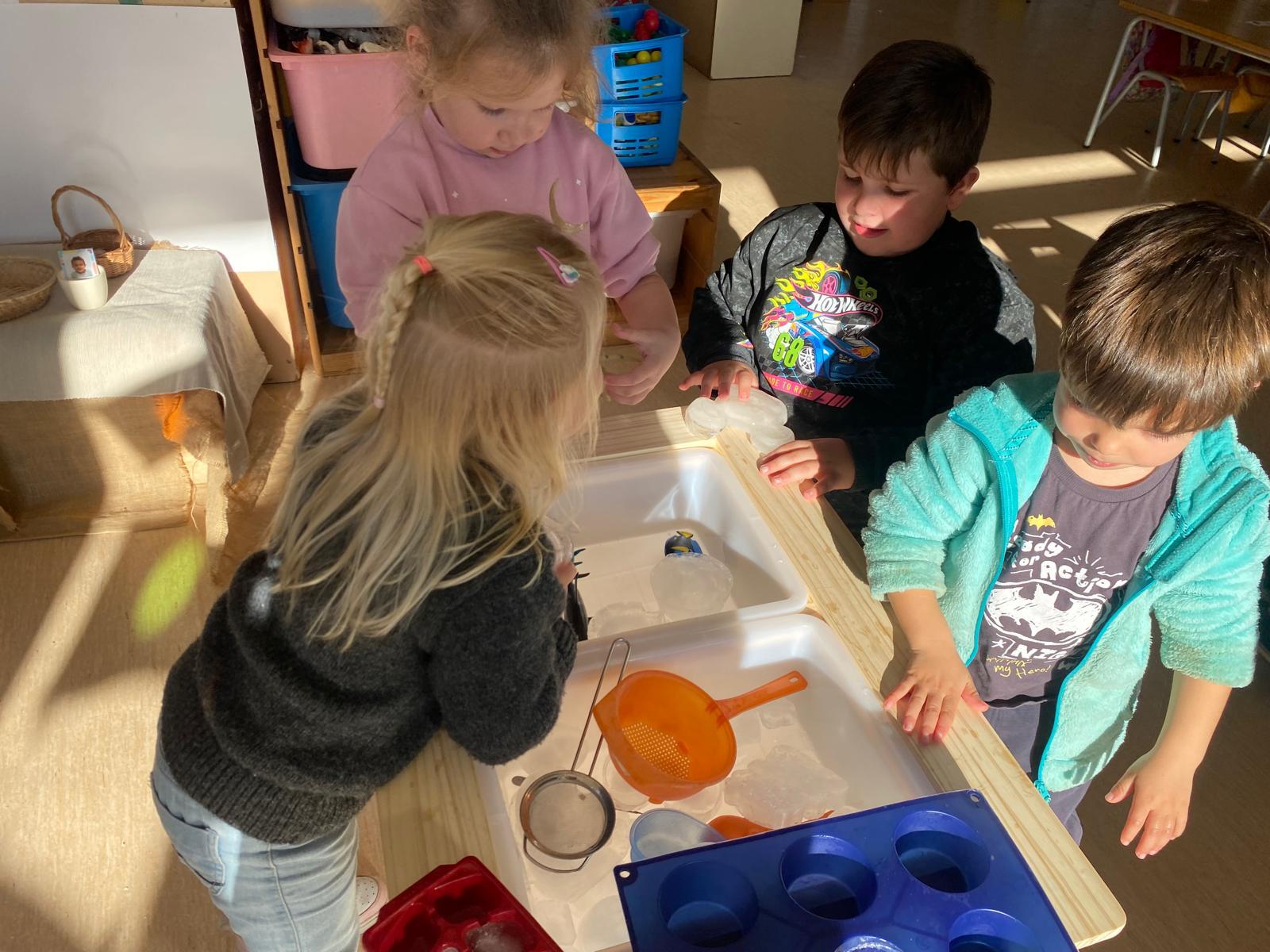 WhatsApp Image 2025-02-24 at 13.58.46 (1)