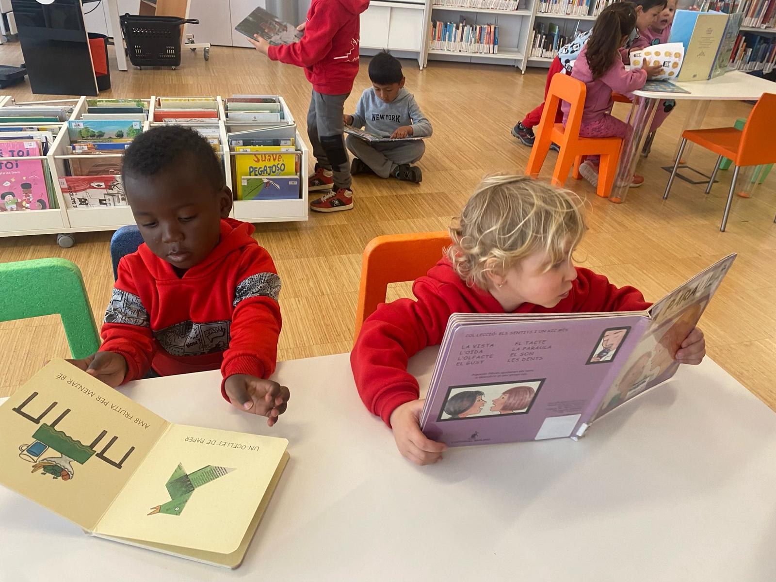 WhatsApp Image 2025-02-24 at 17.50.31