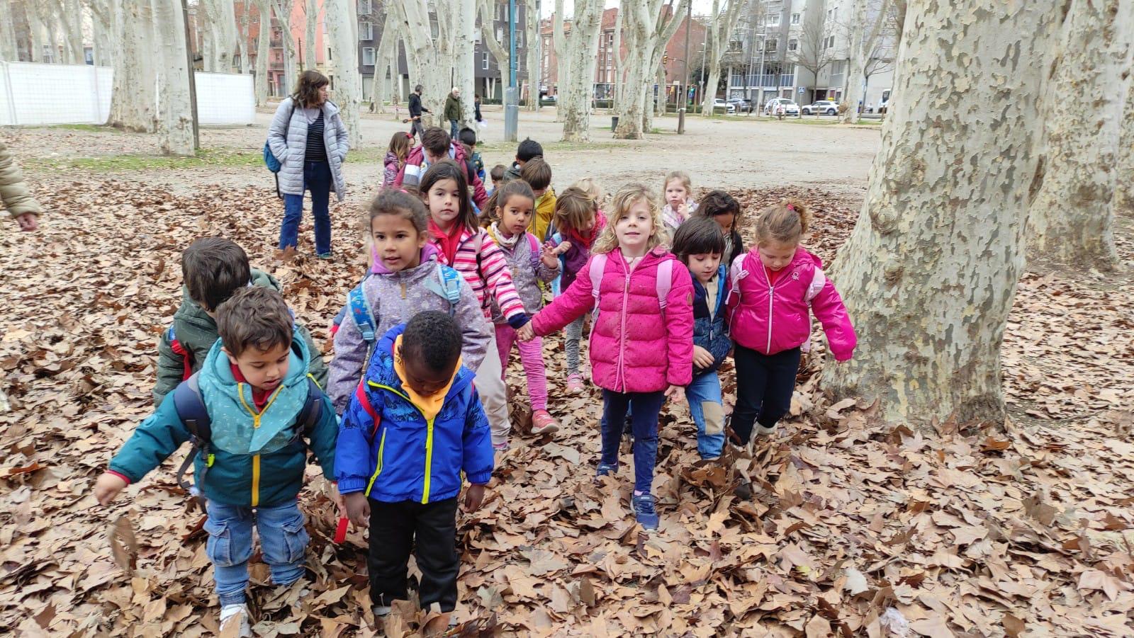 WhatsApp Image 2025-02-24 at 17.54.08