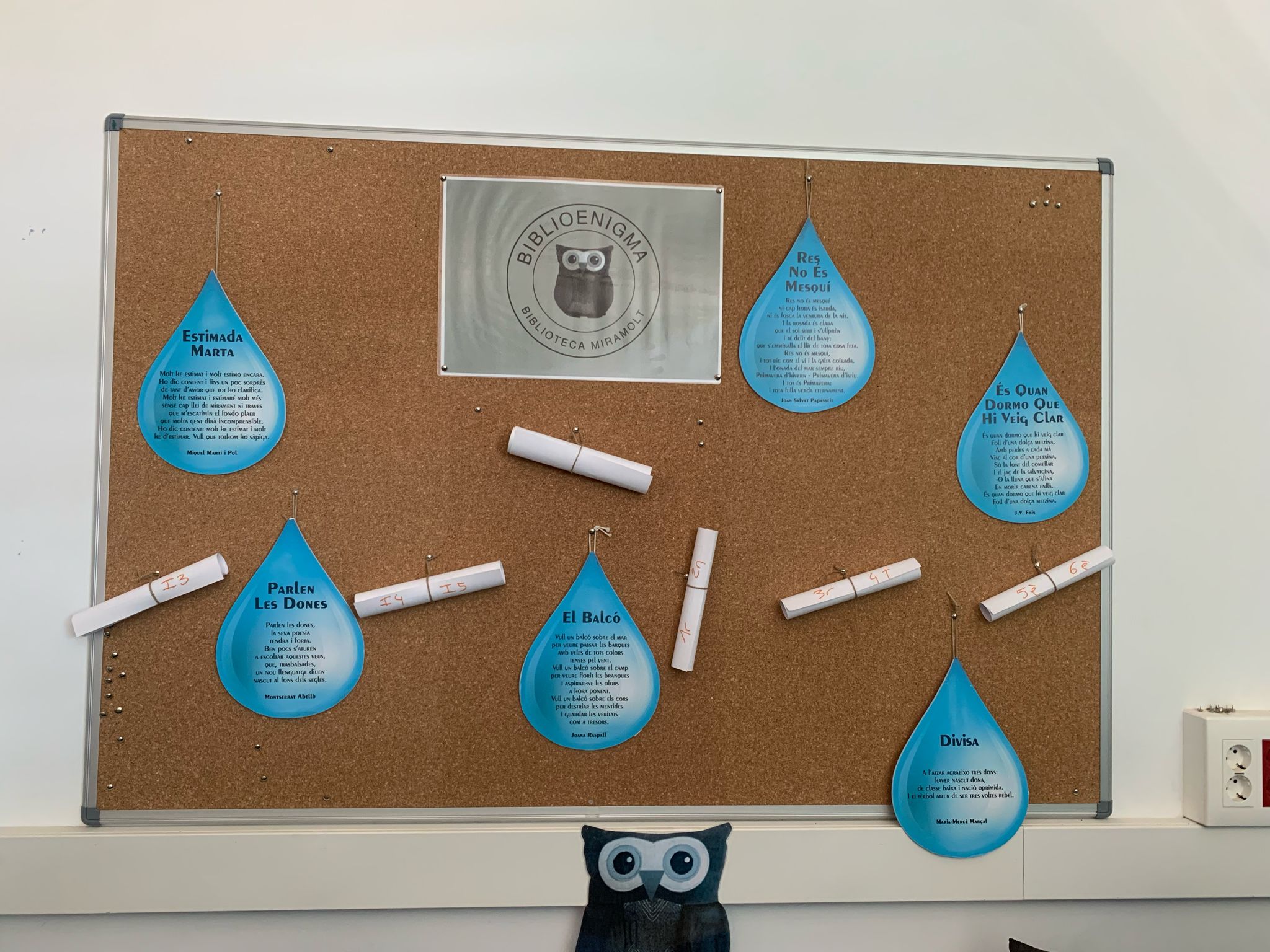 WhatsApp Image 2025-03-05 at 17.02.41 (2)