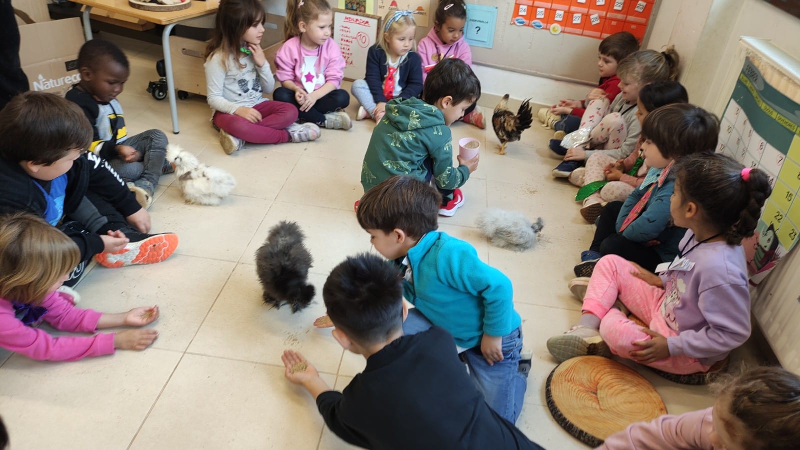 WhatsApp Image 2025-03-10 at 15.13.30 (2)