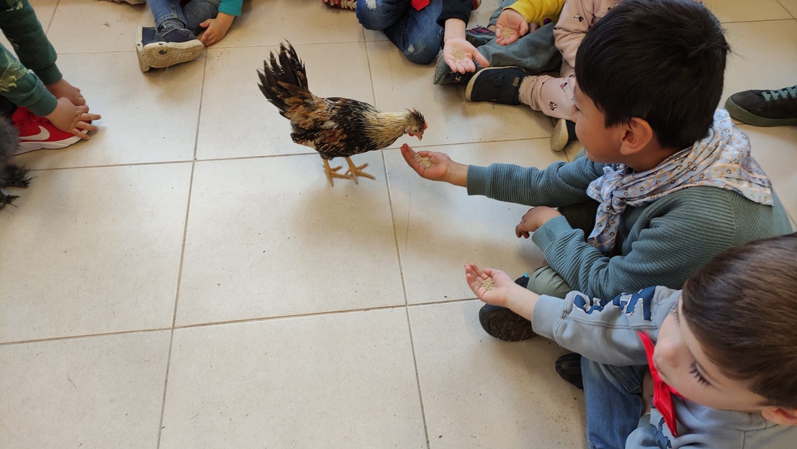 WhatsApp Image 2025-03-10 at 15.13.30 (4)