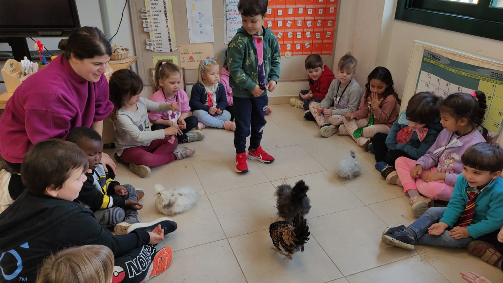 WhatsApp Image 2025-03-10 at 15.13.30 (5)