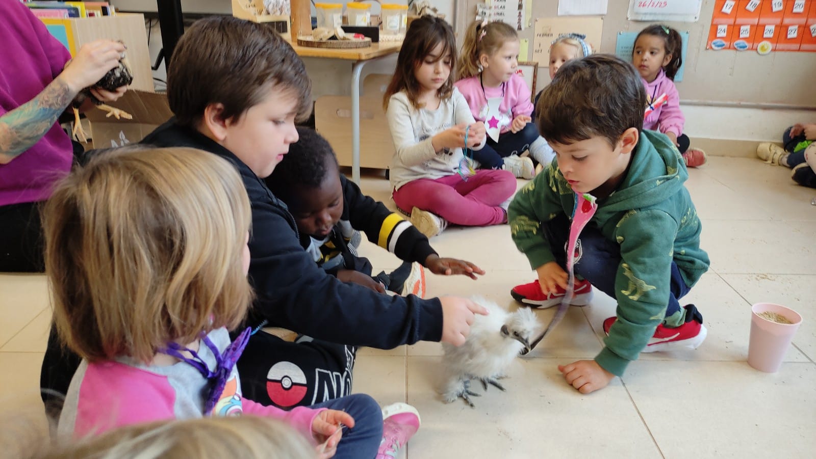 WhatsApp Image 2025-03-10 at 15.13.31 (2)