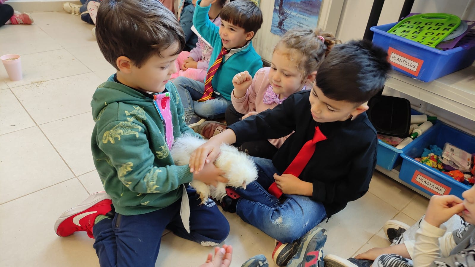 WhatsApp Image 2025-03-10 at 15.13.31 (7)