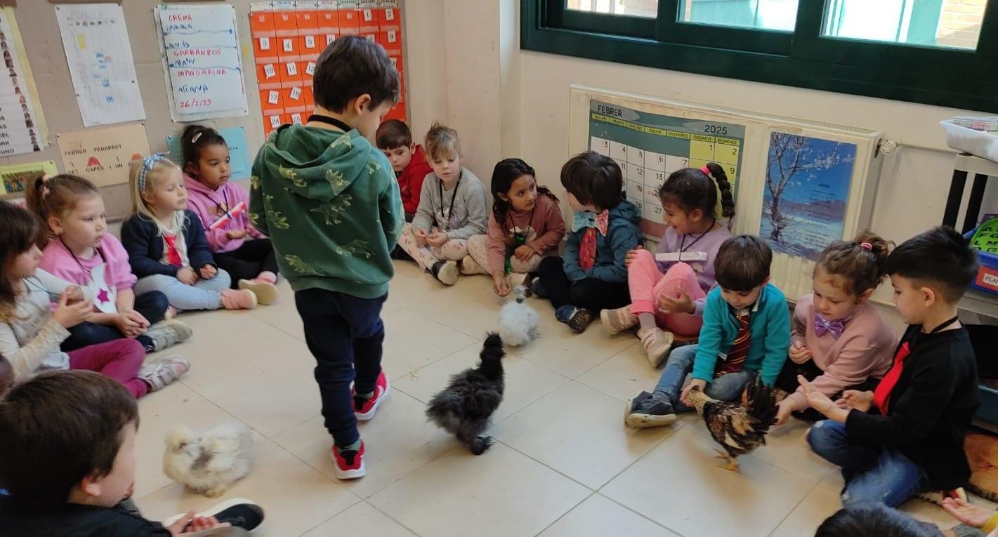 WhatsApp Image 2025-03-10 at 15.13.48 (1)