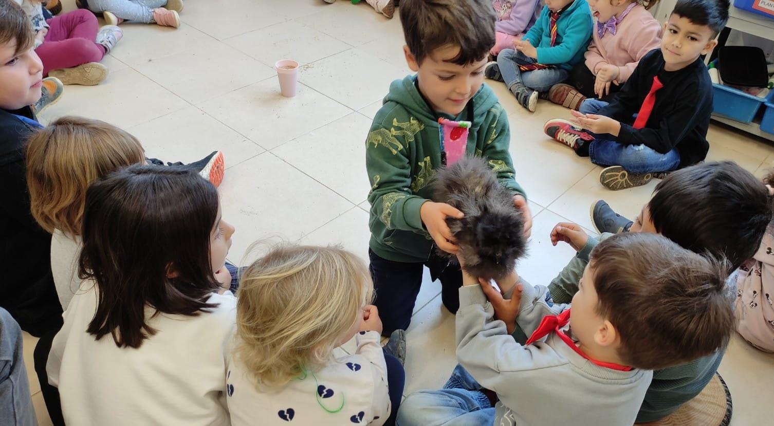 WhatsApp Image 2025-03-10 at 15.13.48 (2)