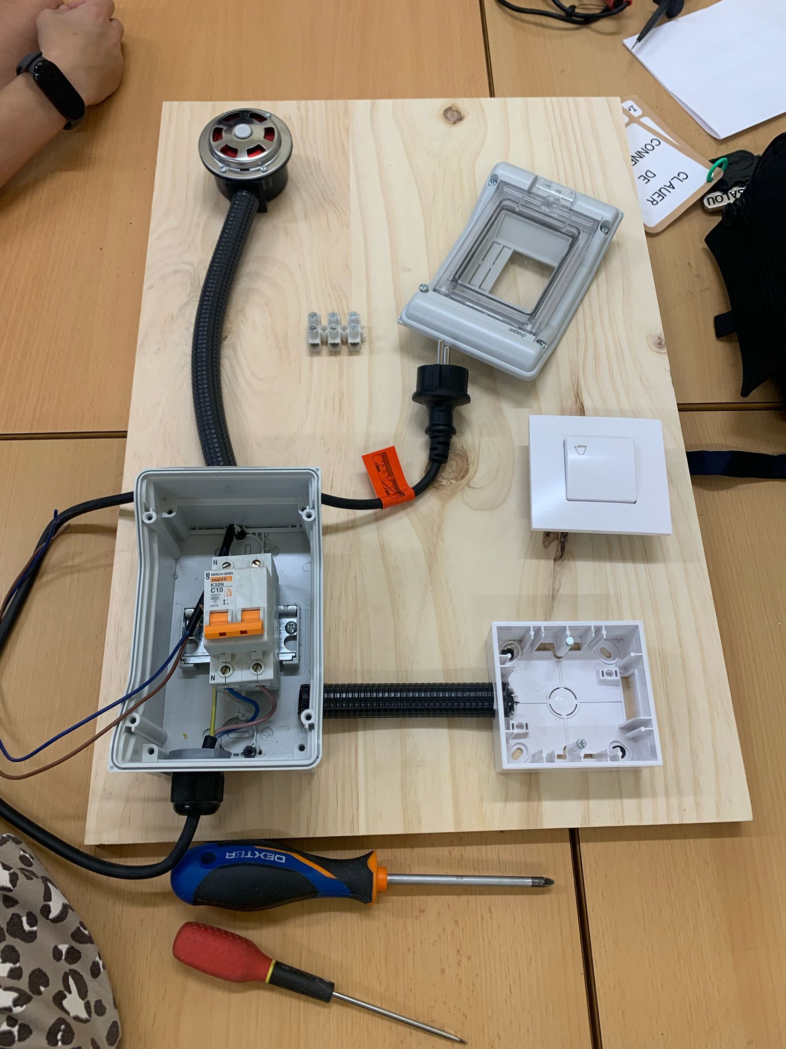 WhatsApp Image 2025-03-11 at 18.28.46 (3)