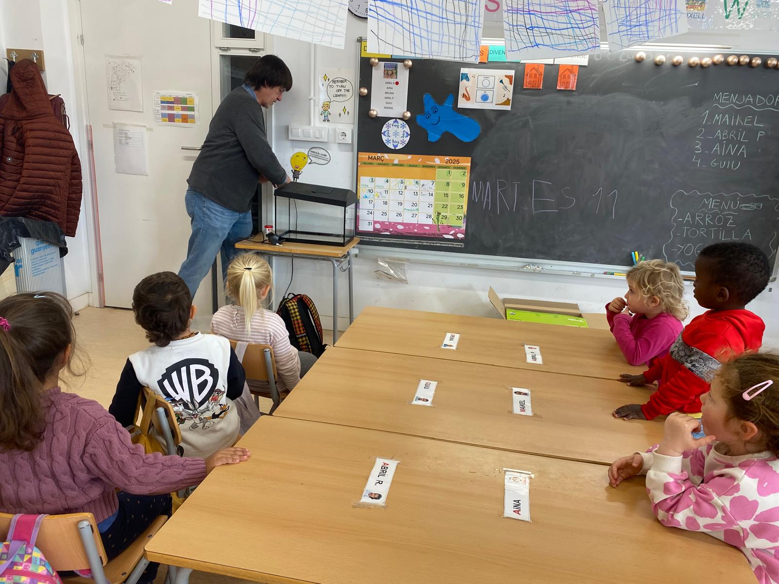 WhatsApp Image 2025-03-14 at 11.33.48