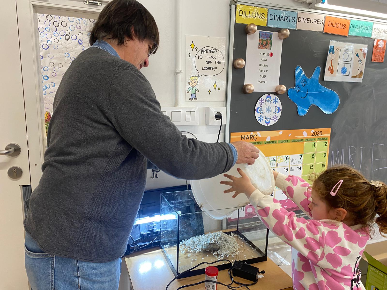 WhatsApp Image 2025-03-14 at 11.33.49 (1)