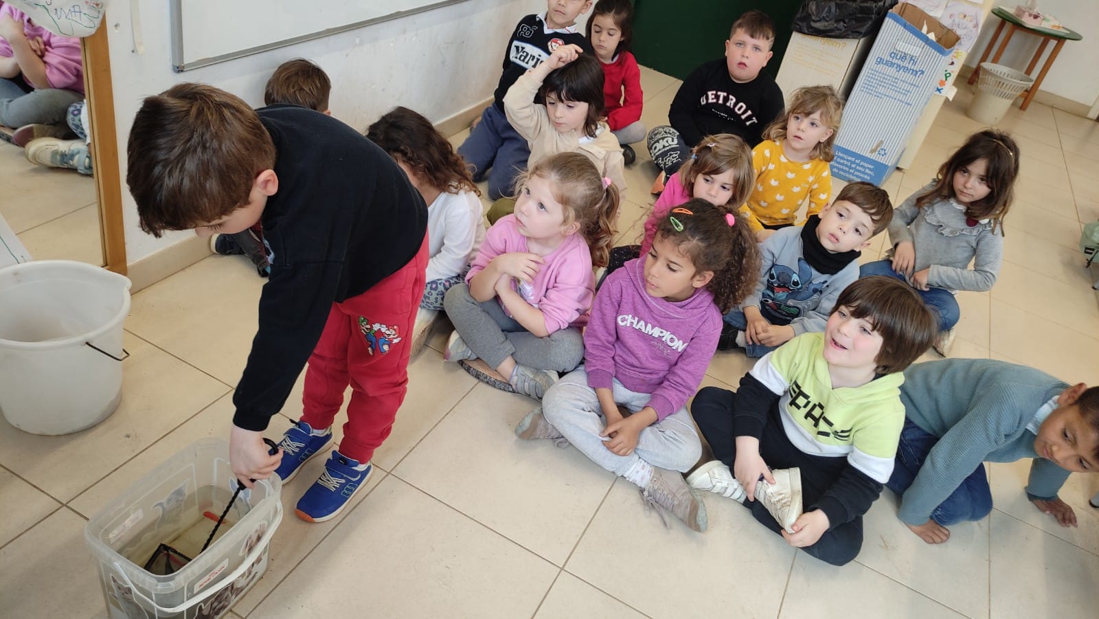 WhatsApp Image 2025-03-17 at 07.28.27 (1)