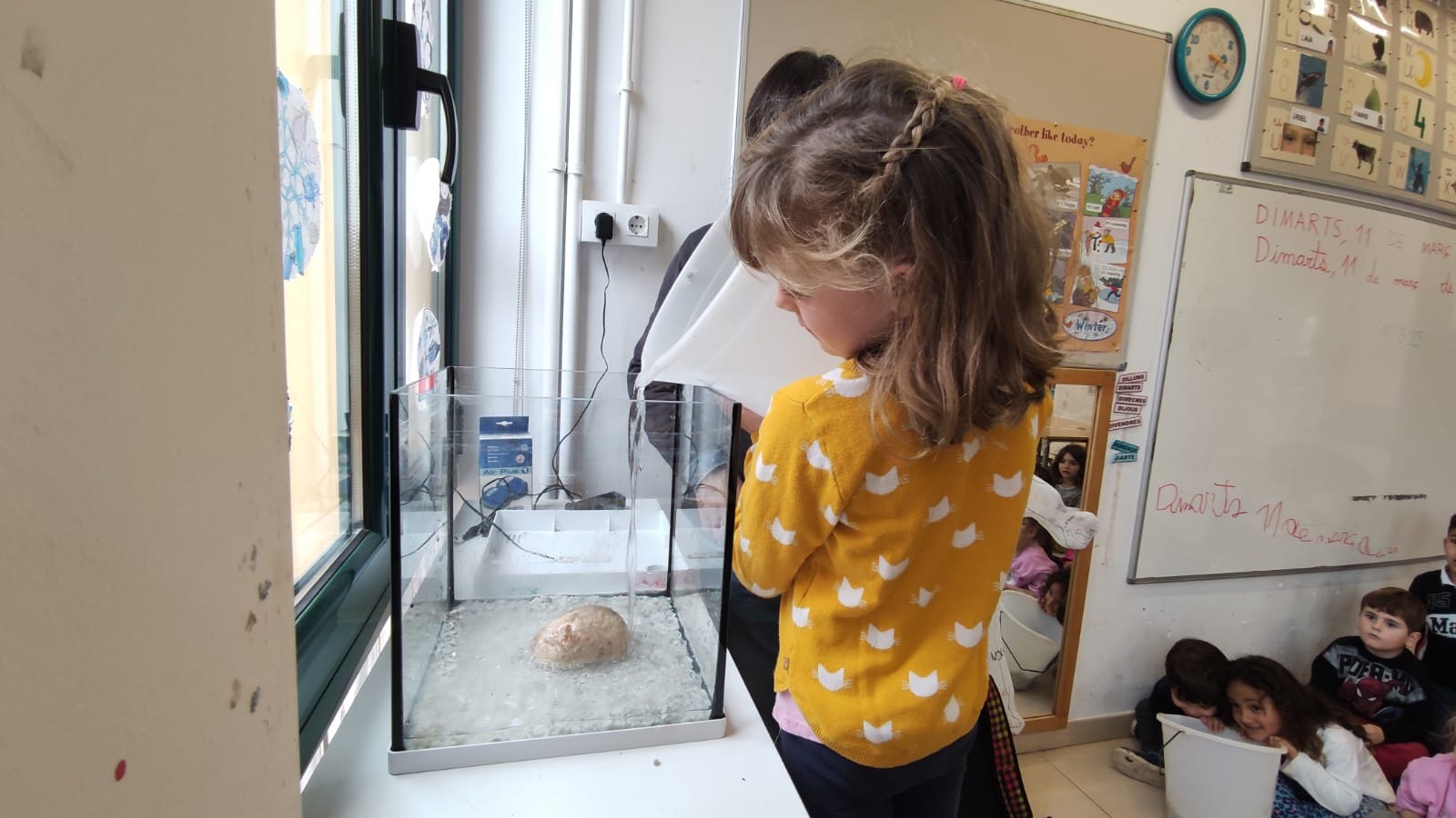 WhatsApp Image 2025-03-17 at 07.28.27 (9)