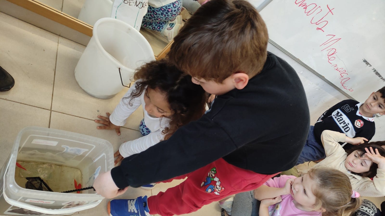 WhatsApp Image 2025-03-17 at 07.28.27