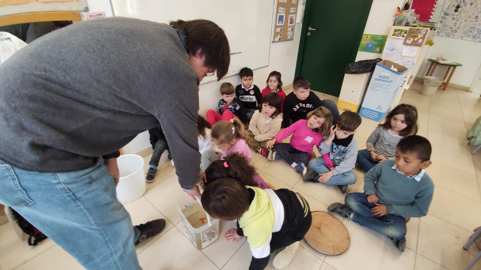 WhatsApp Image 2025-03-17 at 07.28.28