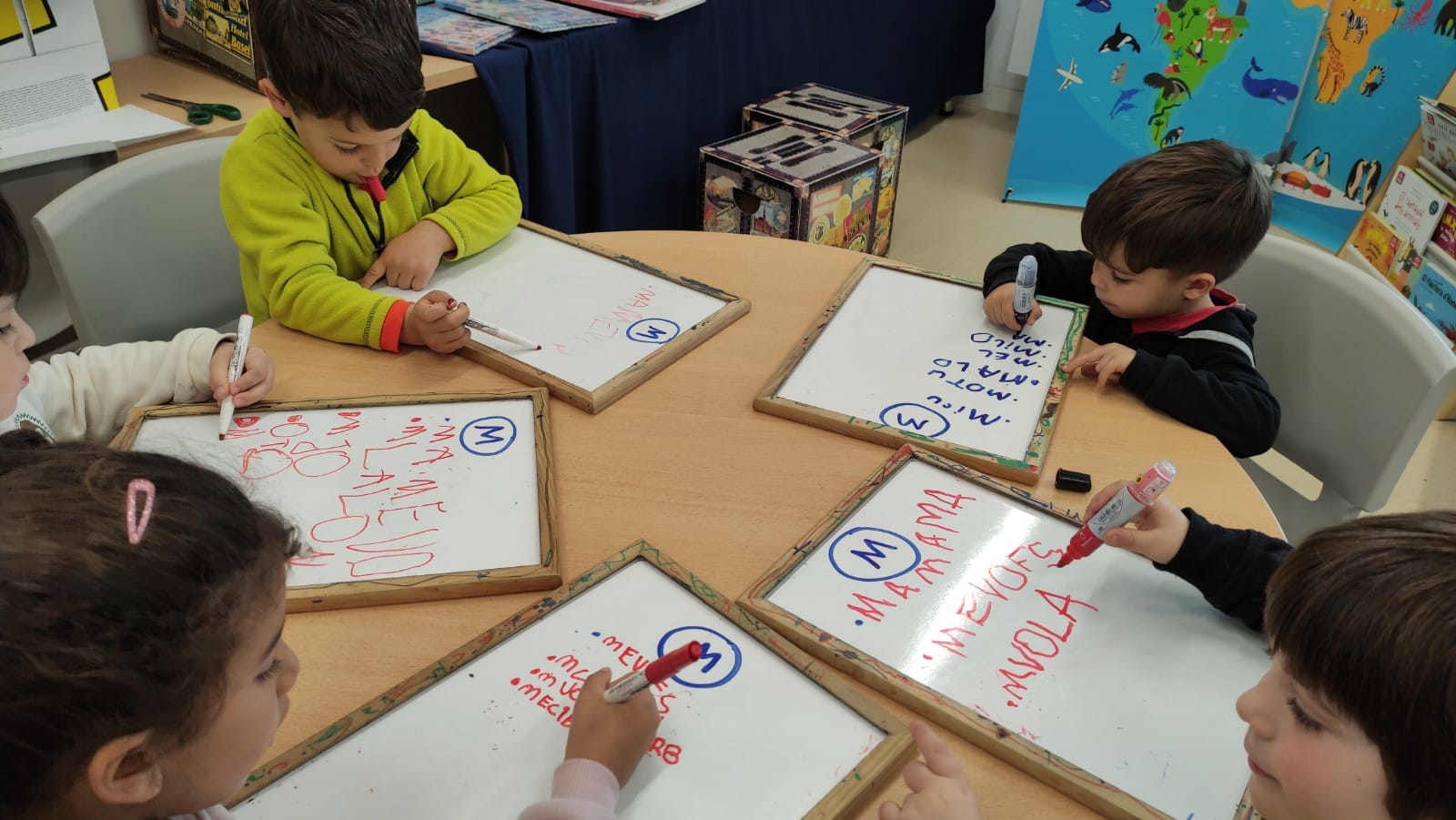 WhatsApp Image 2025-03-31 at 13.20.49