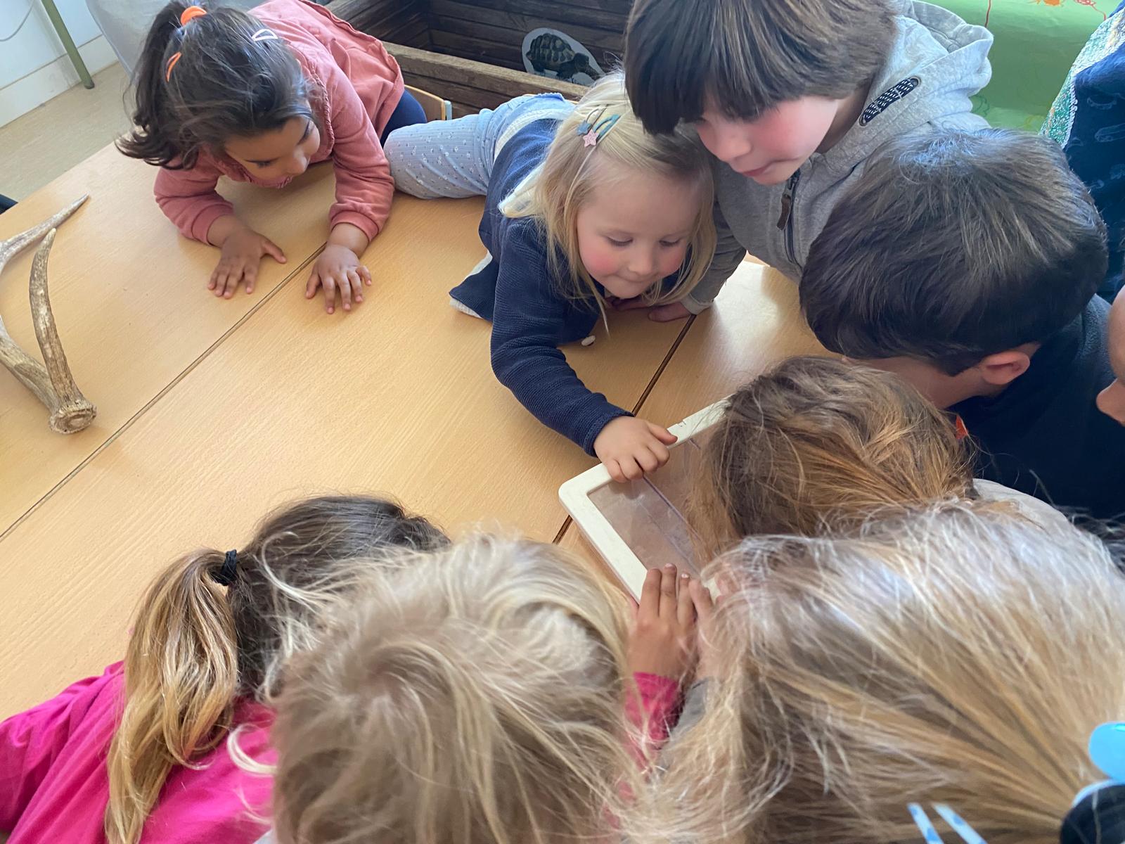 WhatsApp Image 2025-04-04 at 11.31.10 (4)