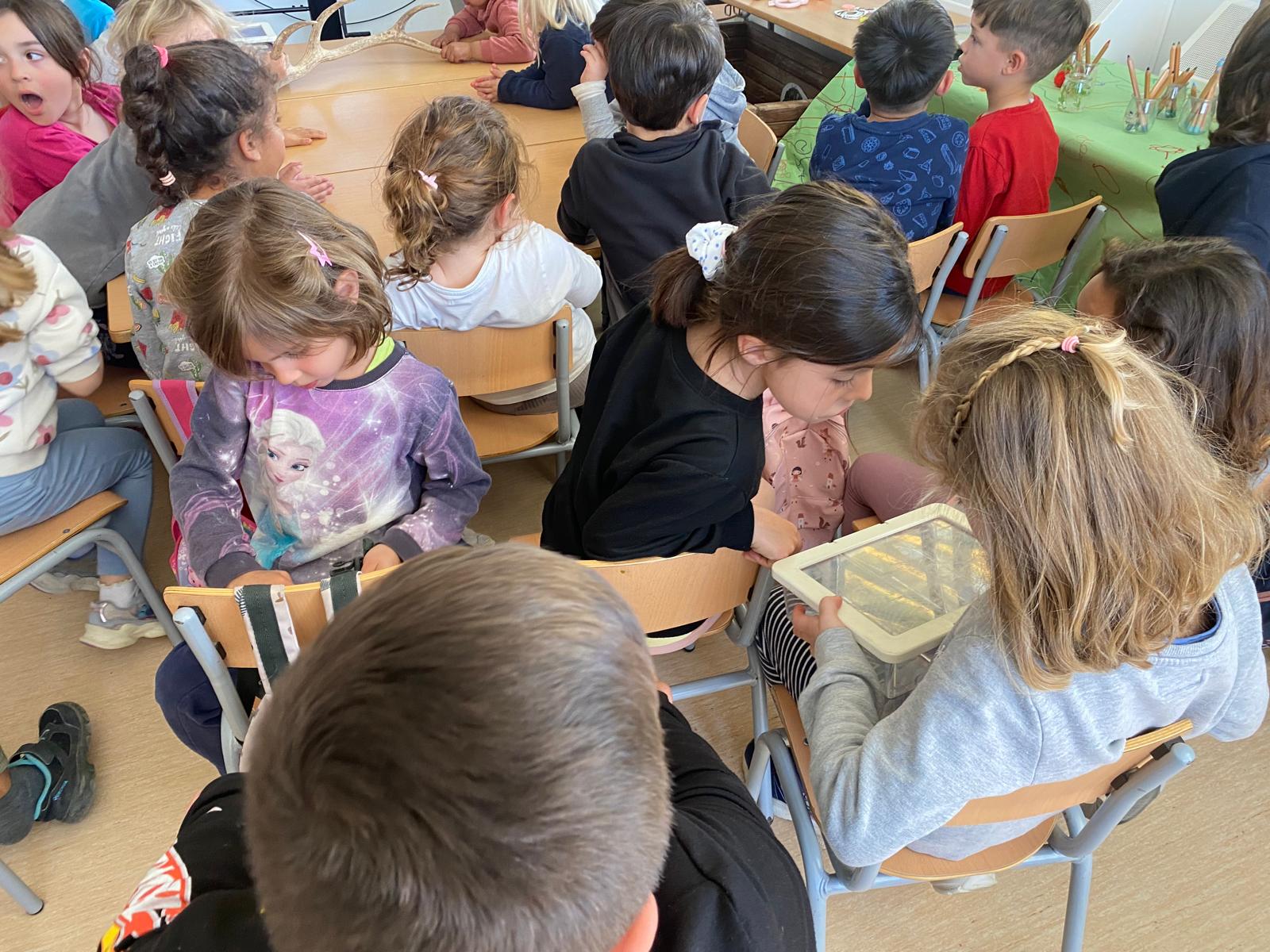 WhatsApp Image 2025-04-04 at 11.31.10 (5)