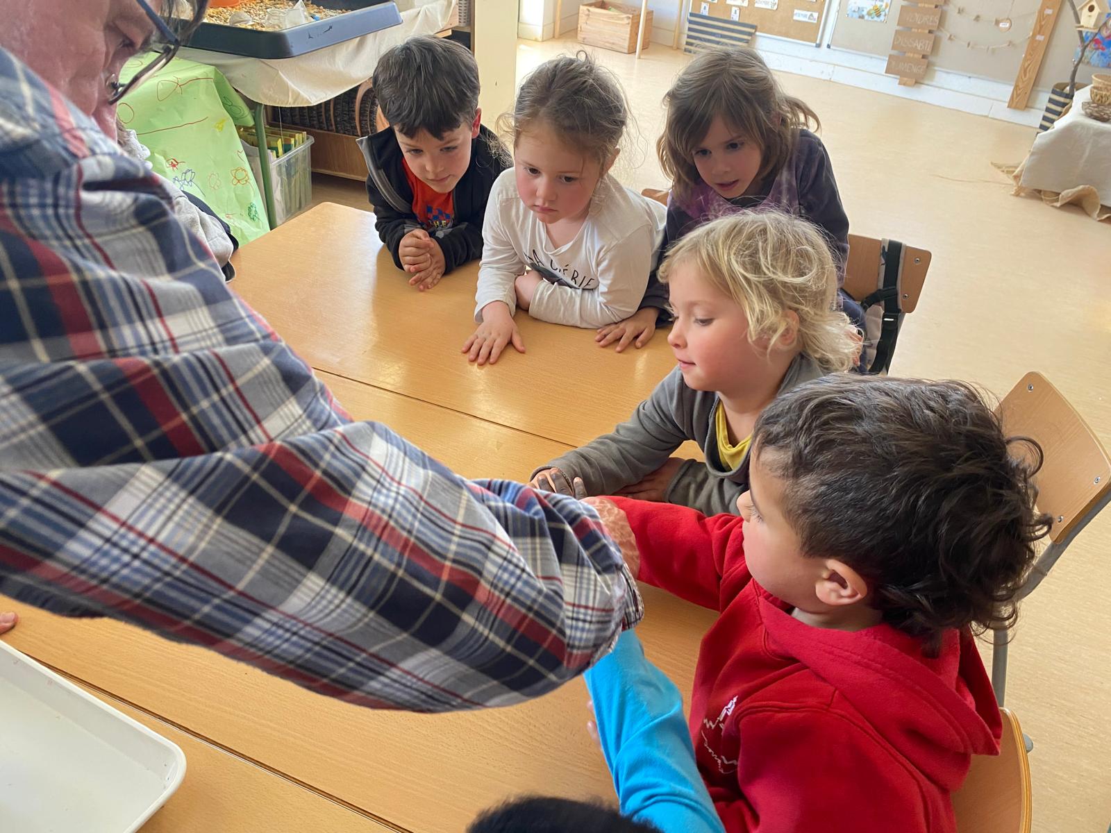 WhatsApp Image 2025-04-04 at 11.31.10 (6)