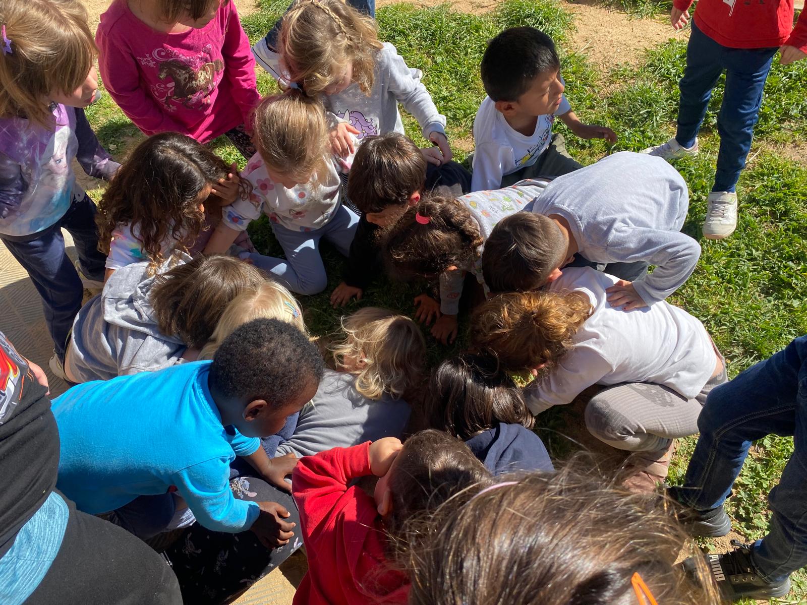 WhatsApp Image 2025-04-04 at 11.31.11 (2)