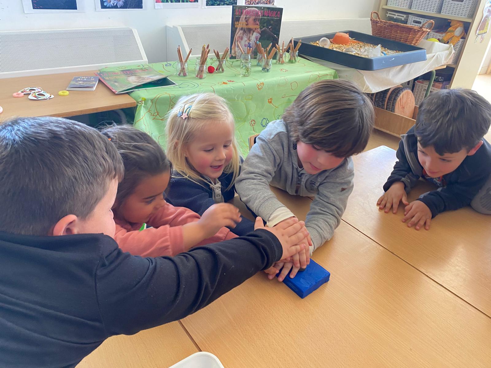 WhatsApp Image 2025-04-04 at 11.31.11