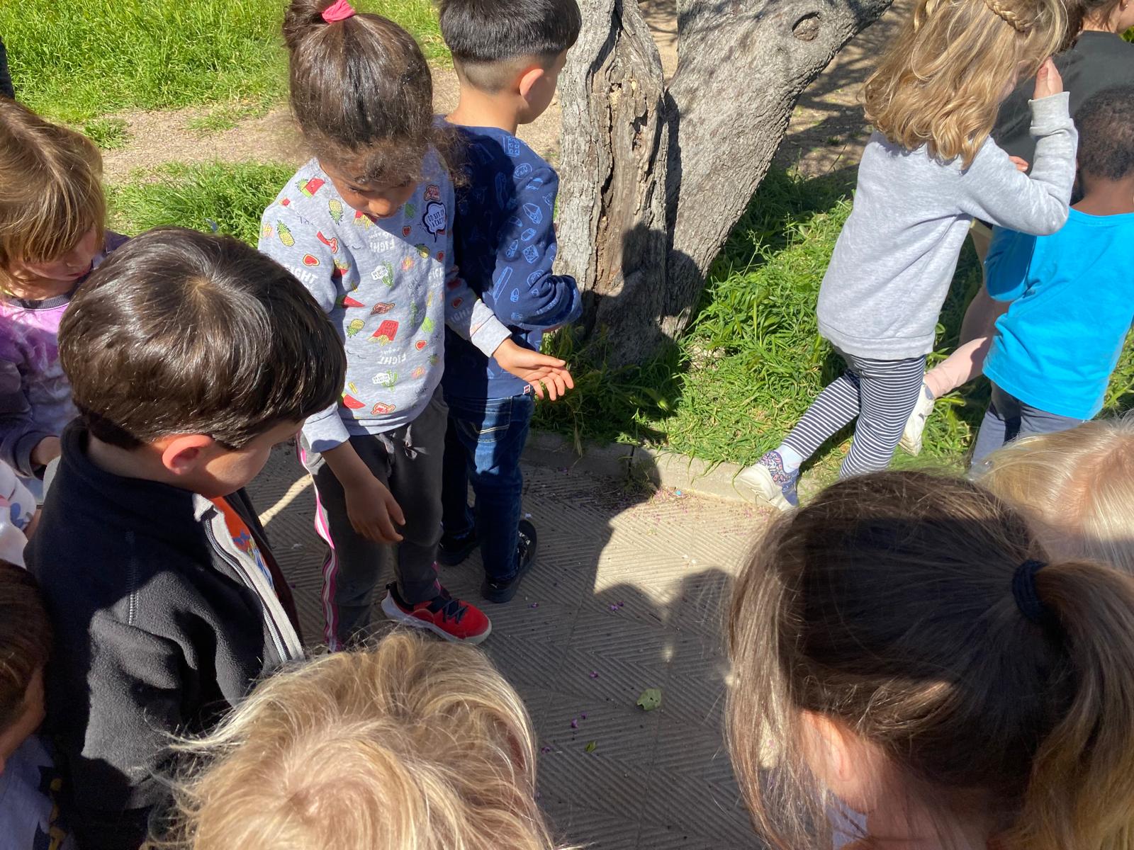 WhatsApp Image 2025-04-04 at 11.31.12 (1)