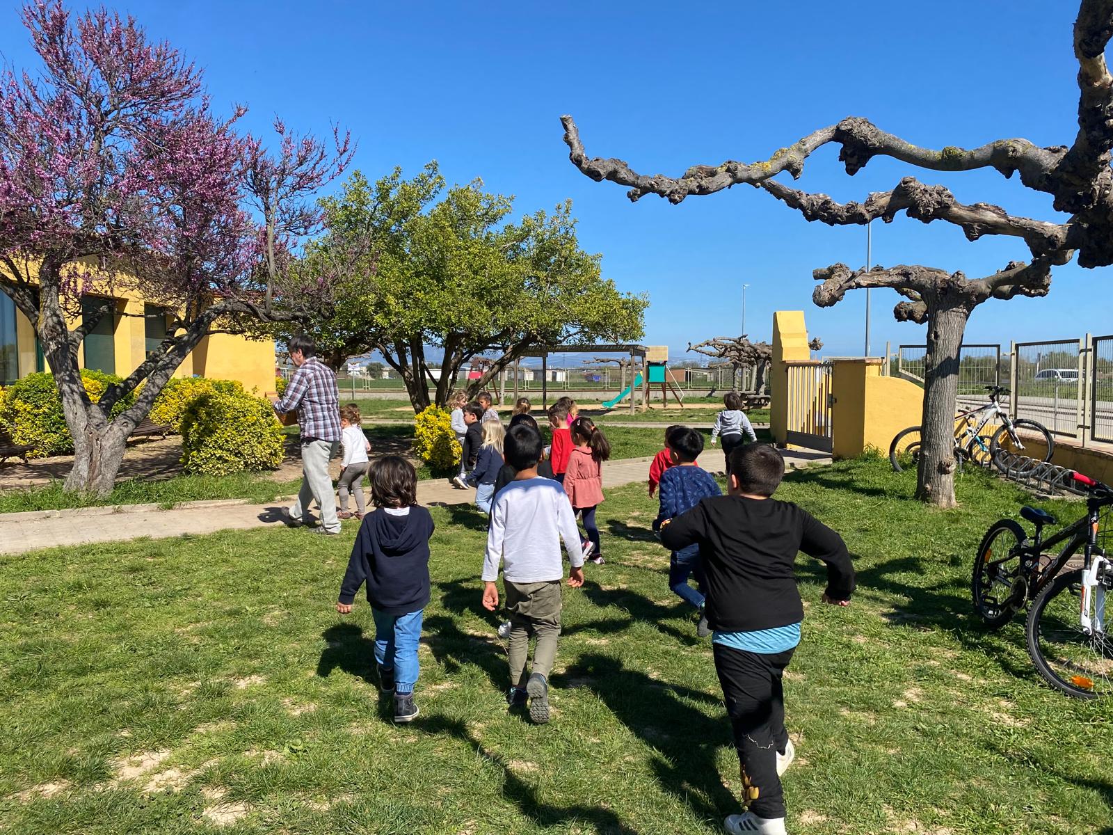 WhatsApp Image 2025-04-04 at 11.31.12