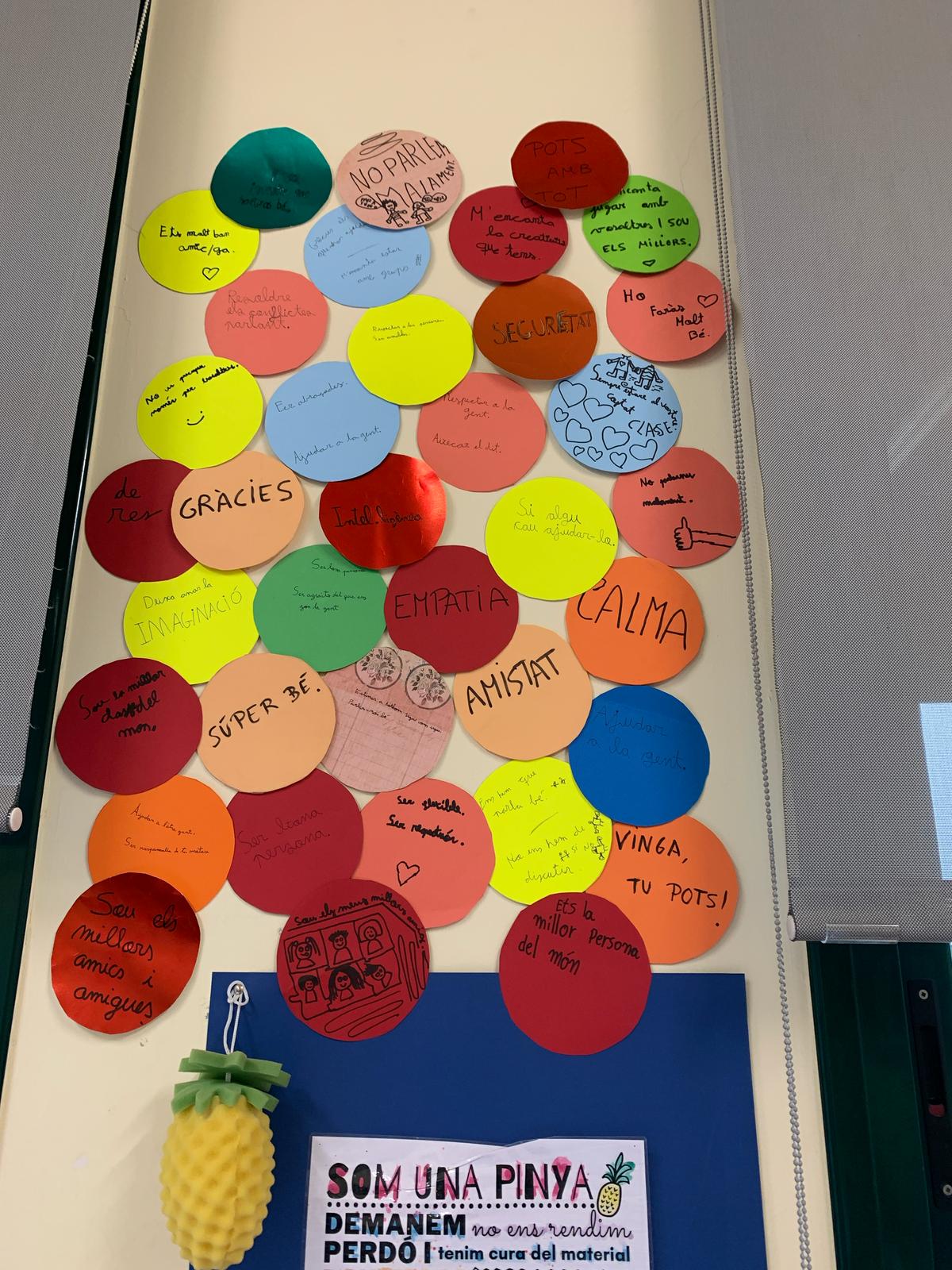 WhatsApp Image 2025-04-04 at 14.10.03