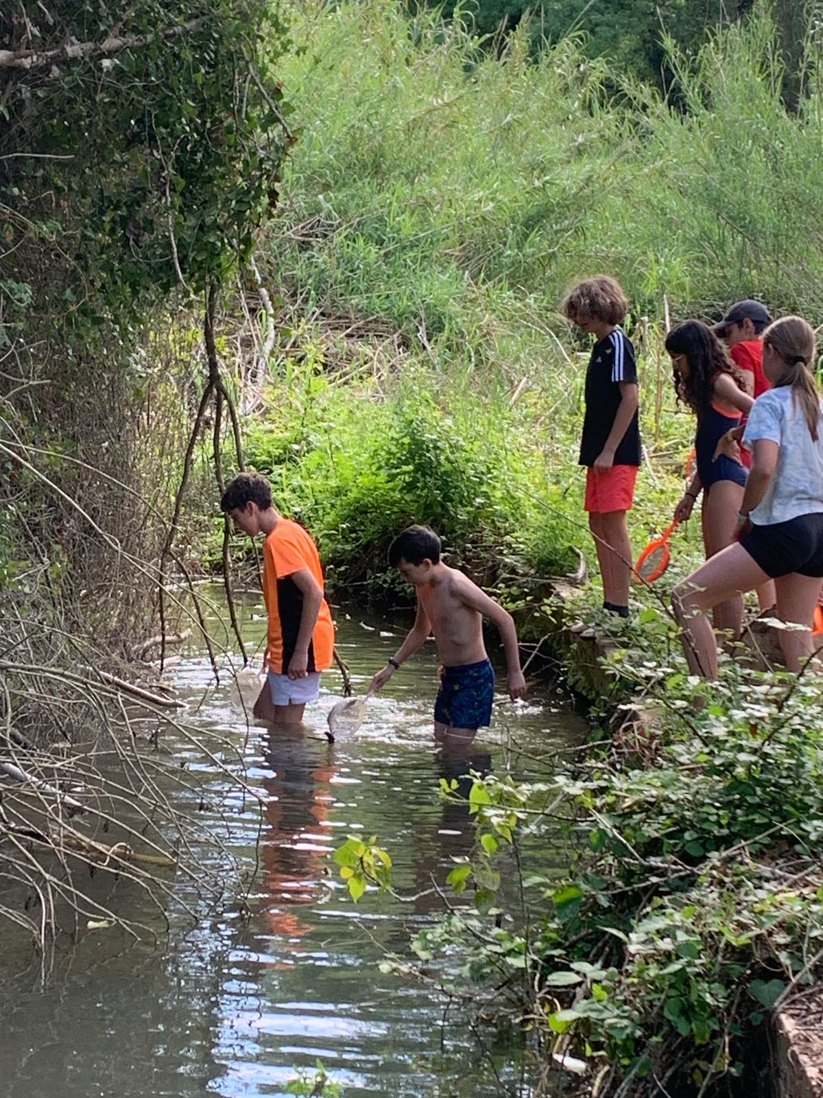 WhatsApp Image 2025-04-25 at 13.31.35