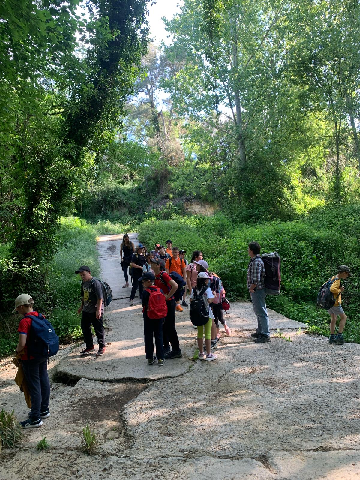 WhatsApp Image 2025-04-25 at 13.31.36