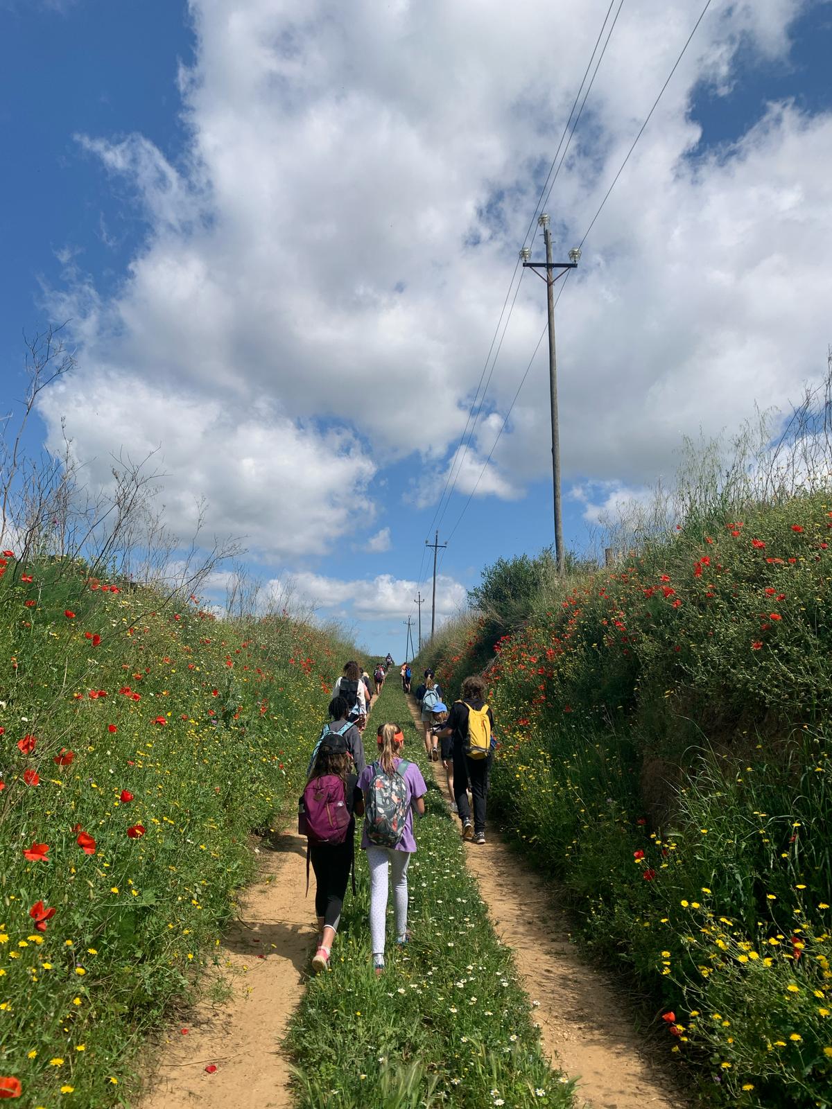 WhatsApp Image 2025-04-25 at 13.32.18