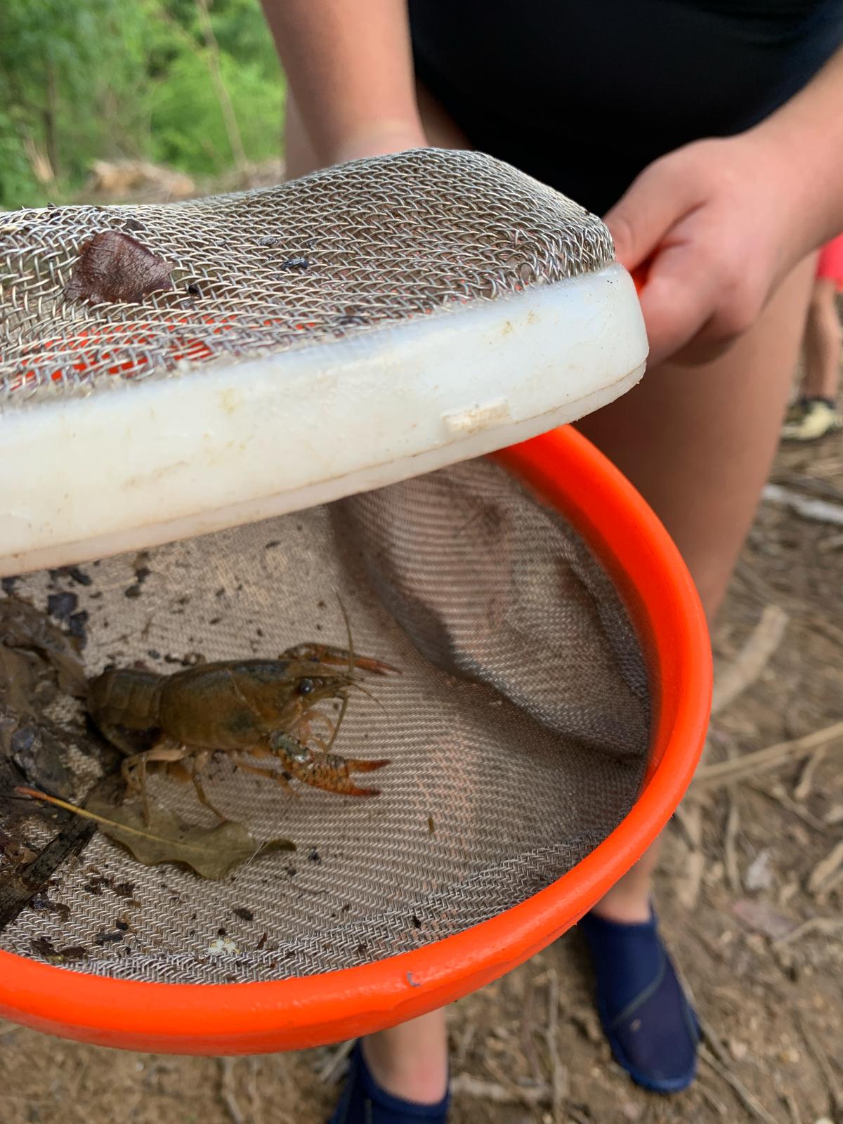 WhatsApp Image 2025-04-25 at 13.34.16