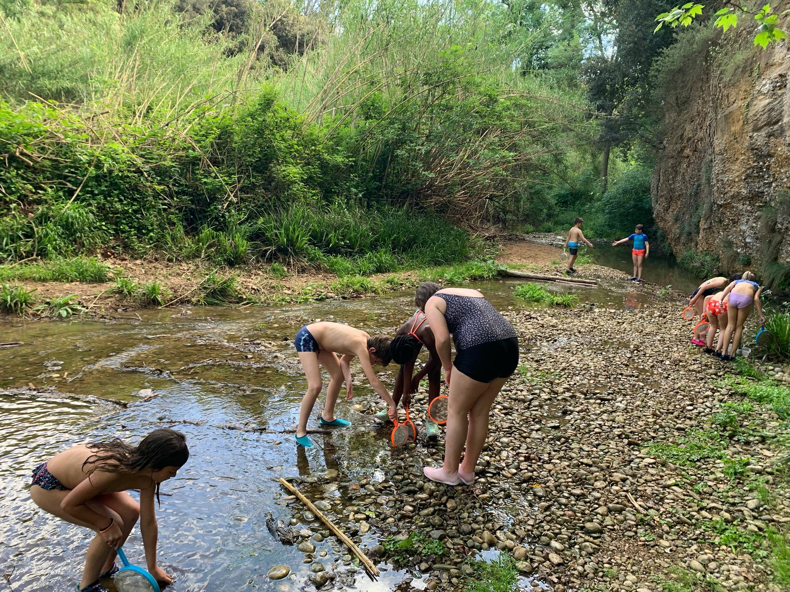 WhatsApp Image 2025-04-25 at 13.34.22