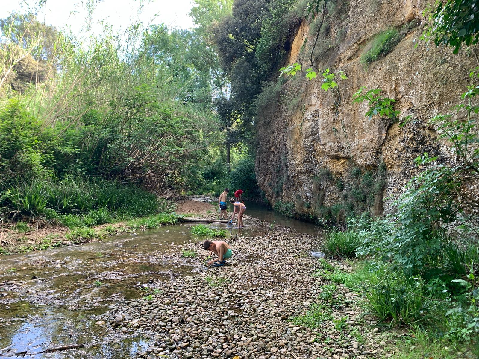 WhatsApp Image 2025-04-25 at 13.40.51