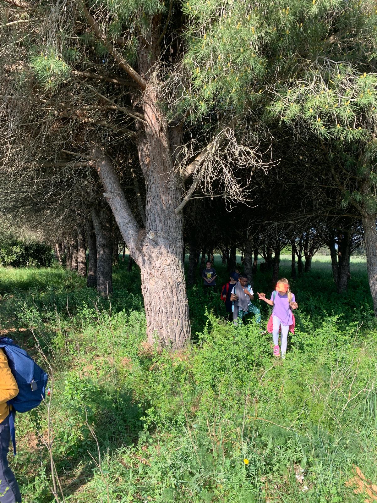 WhatsApp Image 2025-04-25 at 13.40.55 (1)