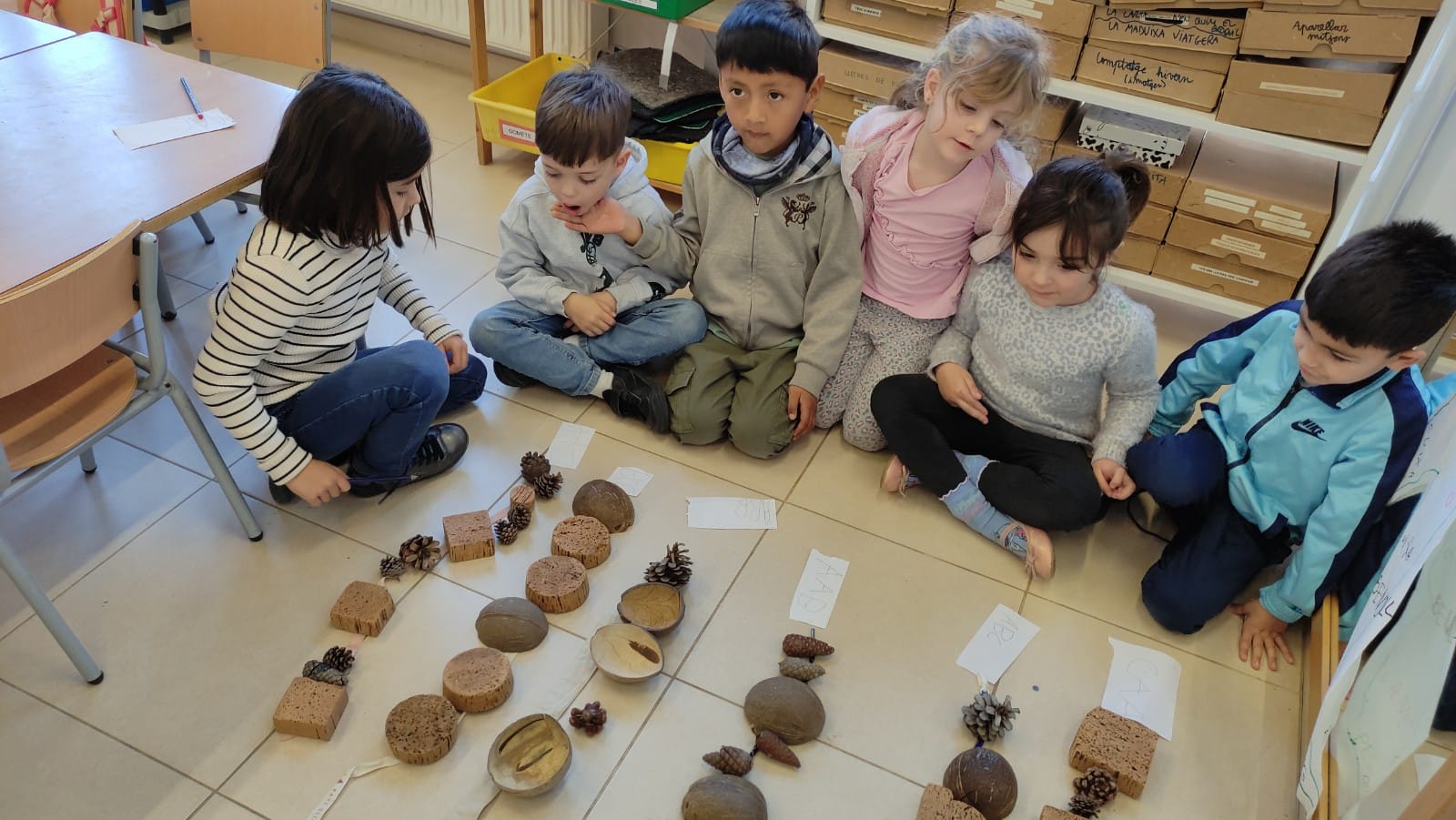 WhatsApp Image 2025-05-07 at 13.37.22 (5)