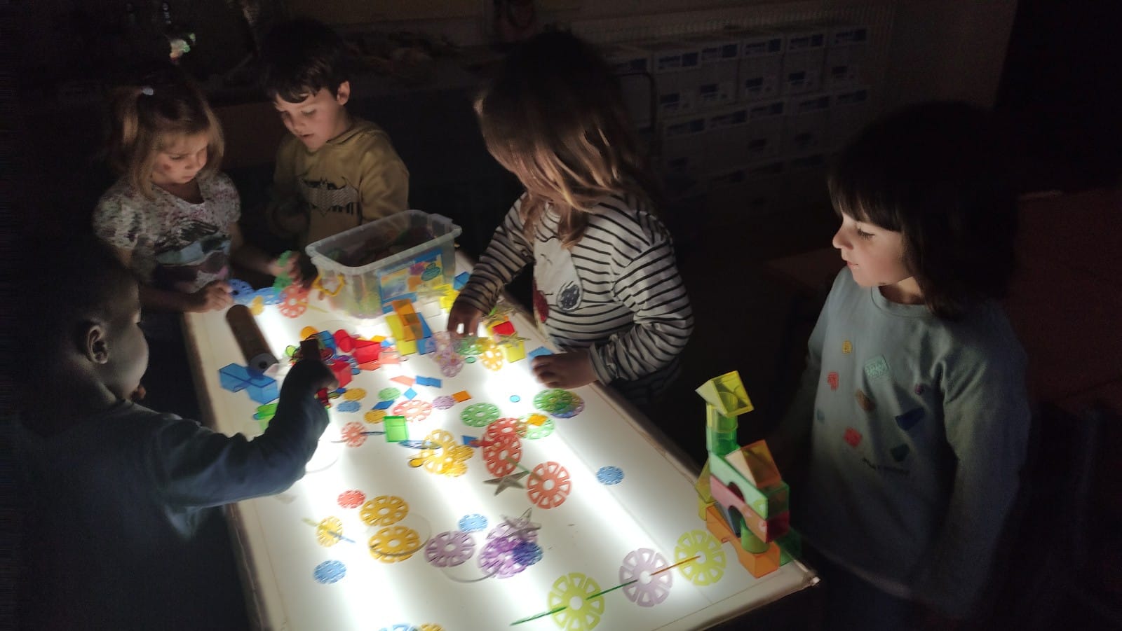 WhatsApp Image 2025-05-09 at 14.18.54