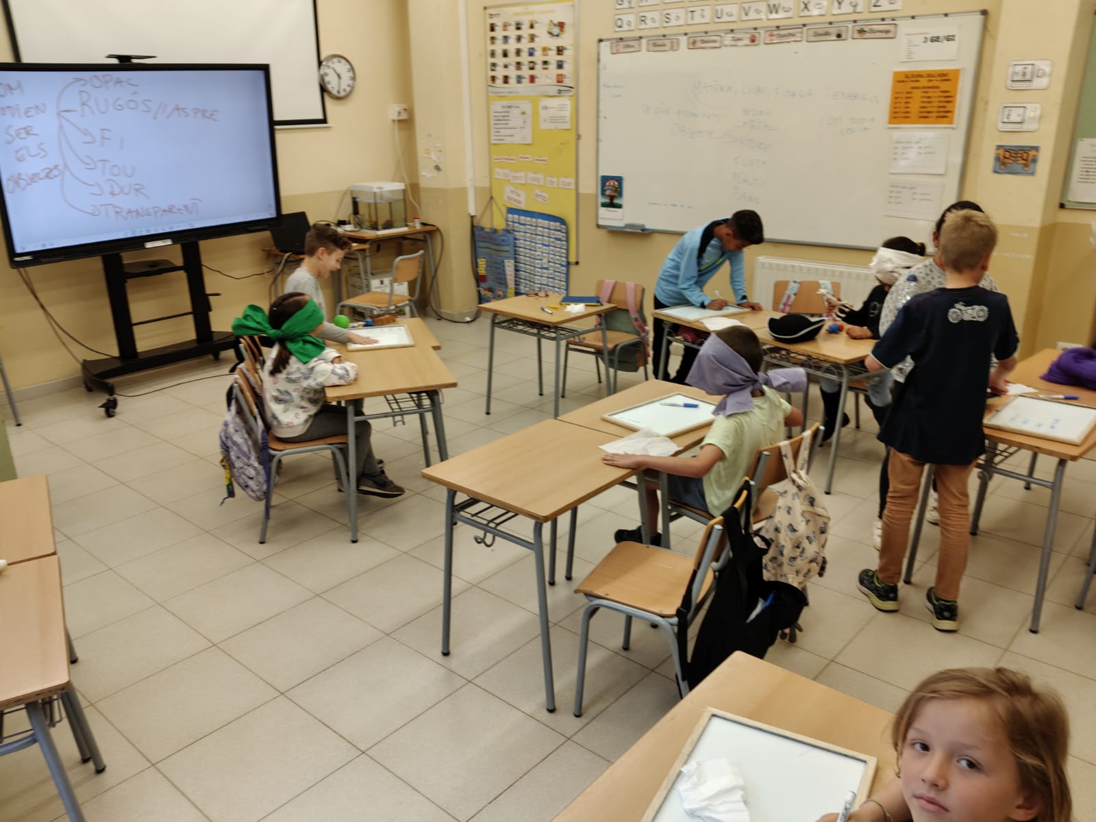 WhatsApp Image 2025-05-16 at 11.45.14 (1)