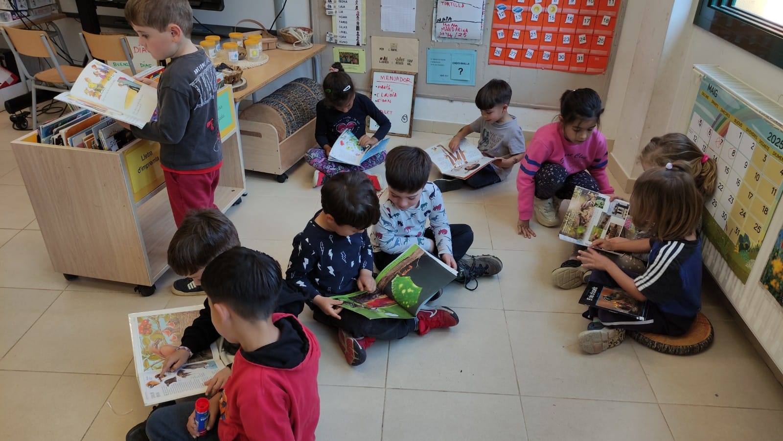 WhatsApp Image 2025-05-19 at 15.10.08 (2)