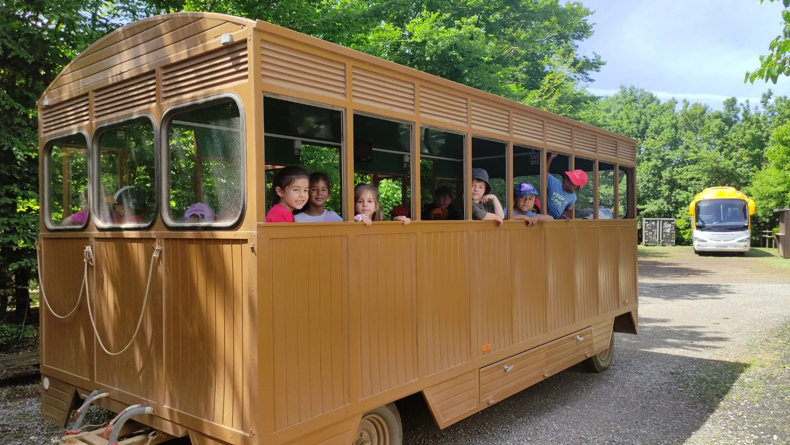 WhatsApp Image 2025-06-03 at 15.50.34