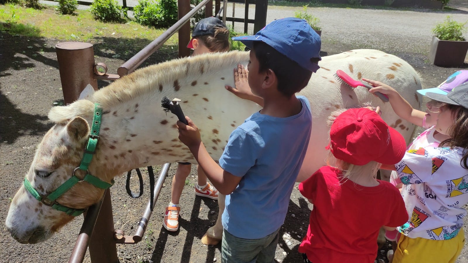 WhatsApp Image 2025-06-03 at 15.50.35