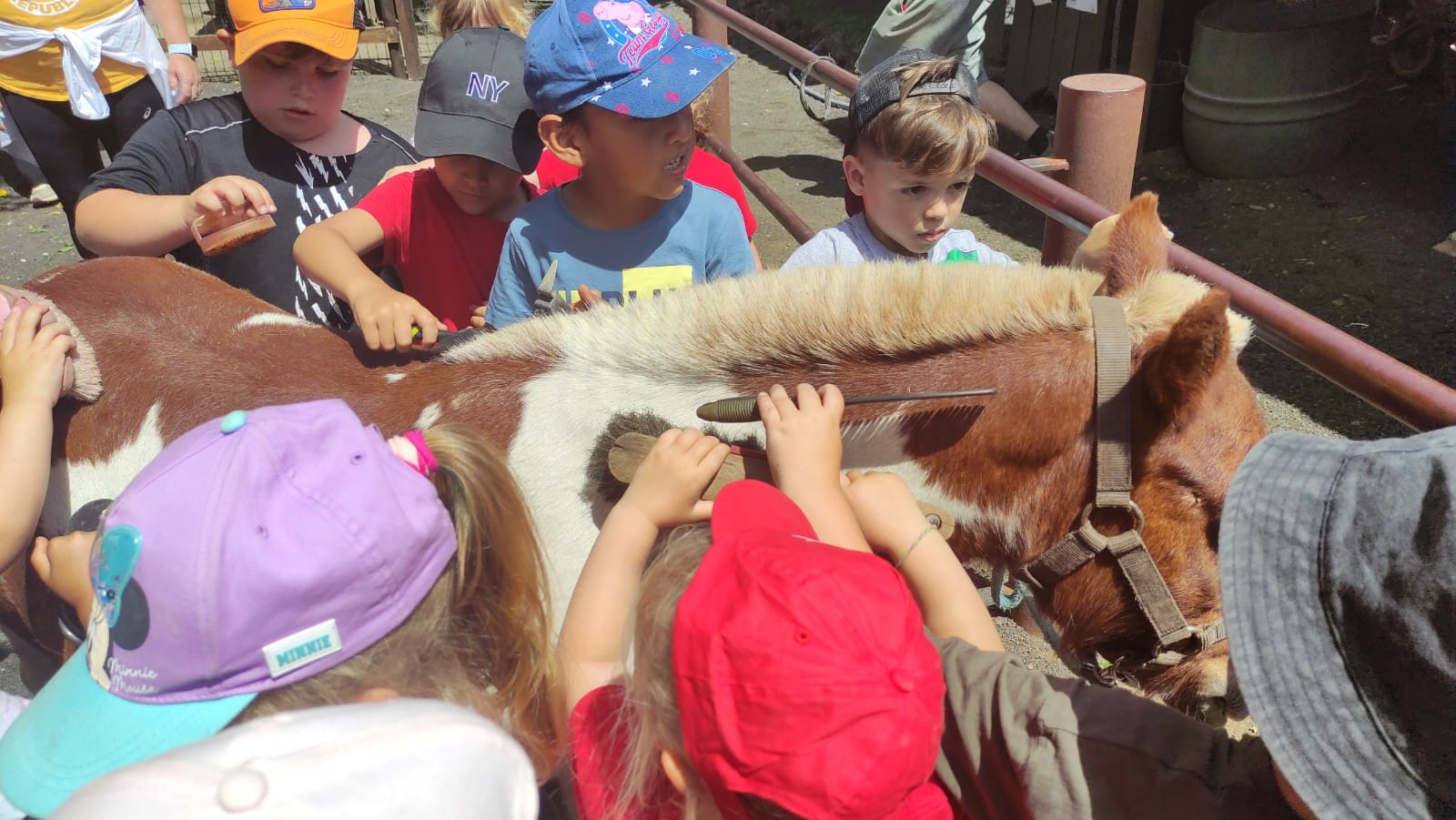 WhatsApp Image 2025-06-03 at 15.50.37