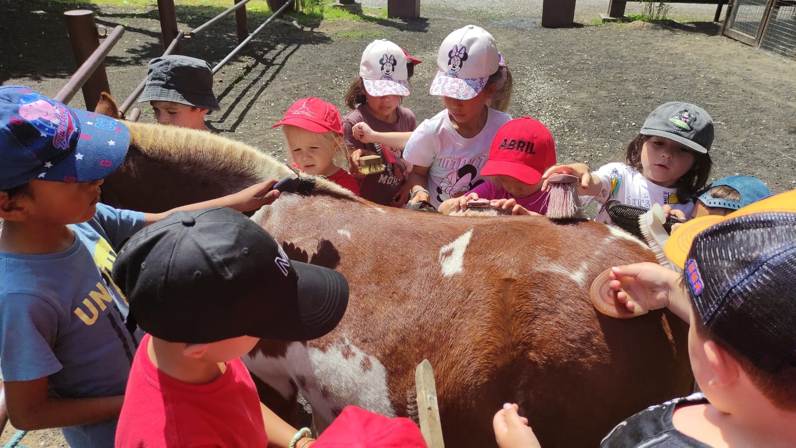 WhatsApp Image 2025-06-03 at 15.50.38