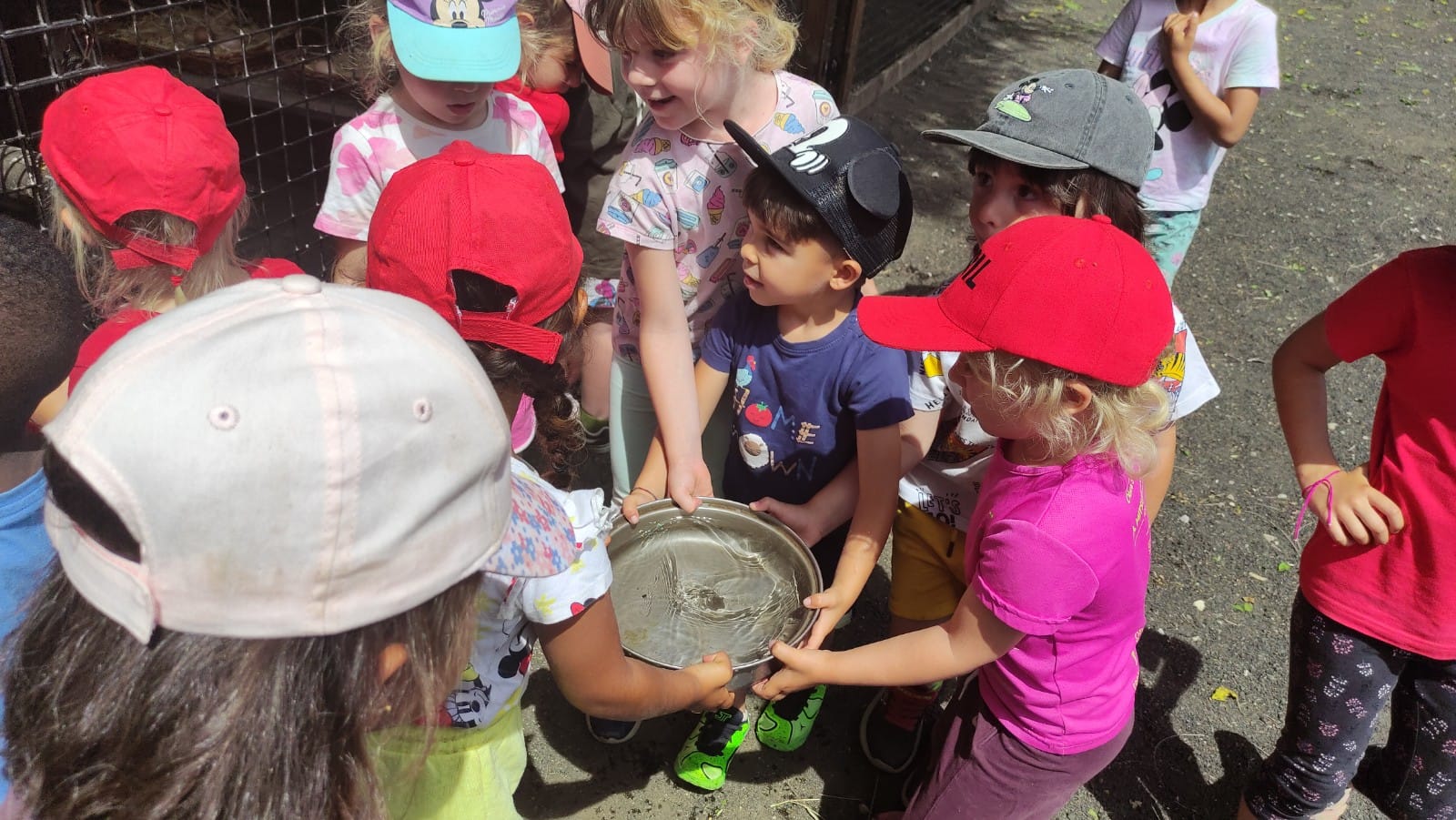 WhatsApp Image 2025-06-03 at 15.50.42