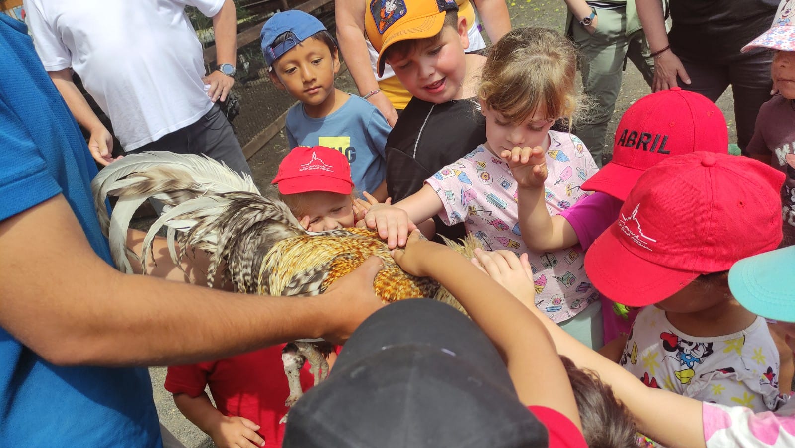 WhatsApp Image 2025-06-03 at 15.50.43 (1)