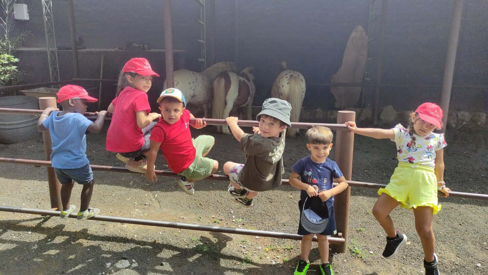 WhatsApp Image 2025-06-03 at 15.50.43