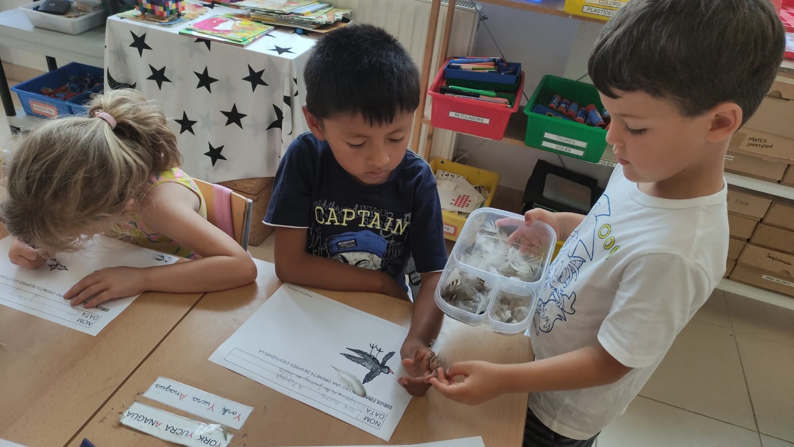 WhatsApp Image 2025-06-10 at 20.48.04 (1)