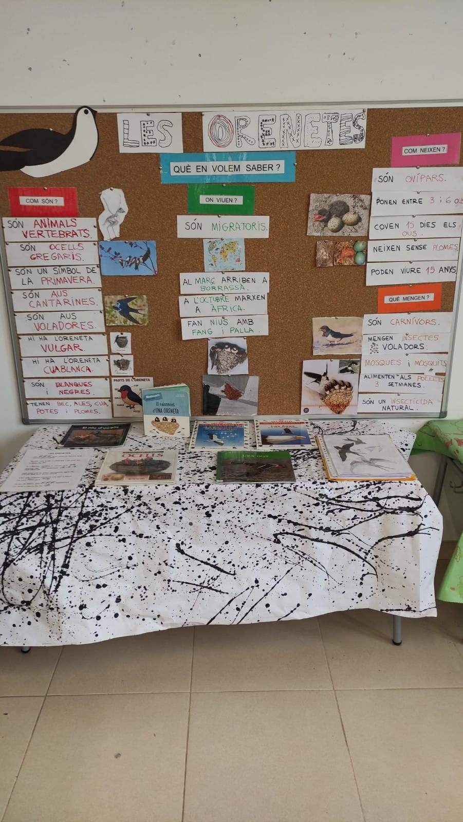 WhatsApp Image 2025-06-10 at 20.52.50