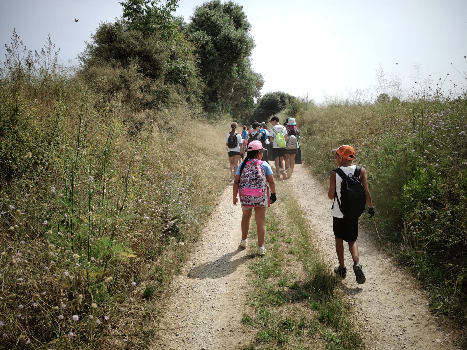 WhatsApp Image 2025-06-15 at 16.39.44 (1)