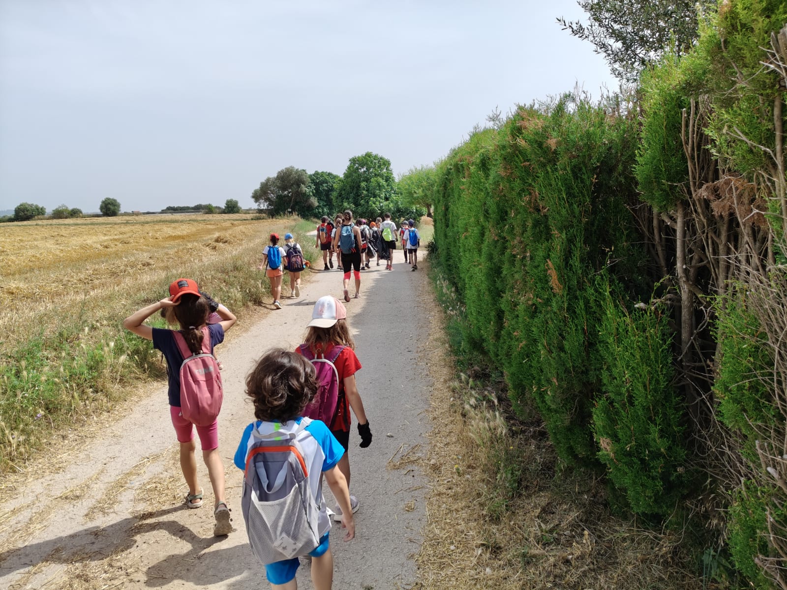 WhatsApp Image 2025-06-15 at 16.39.49